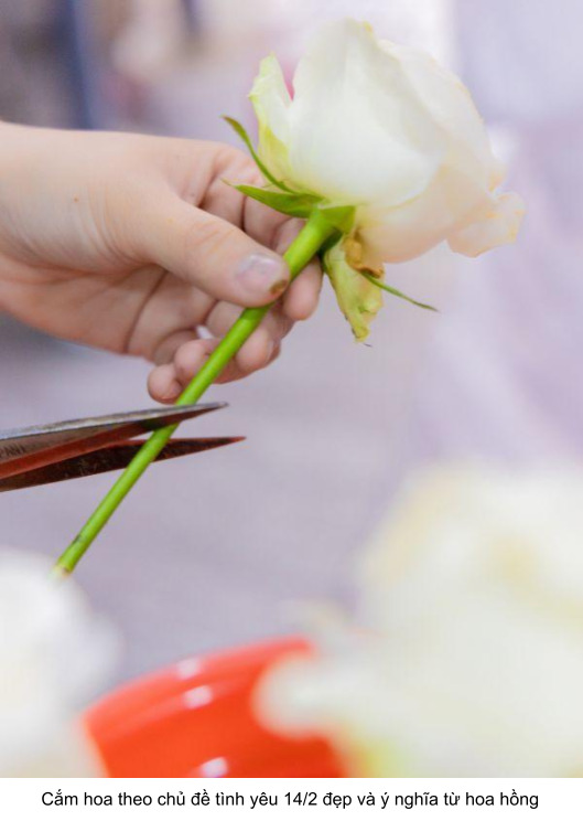 cắm hoa theo chủ đề tình yêu