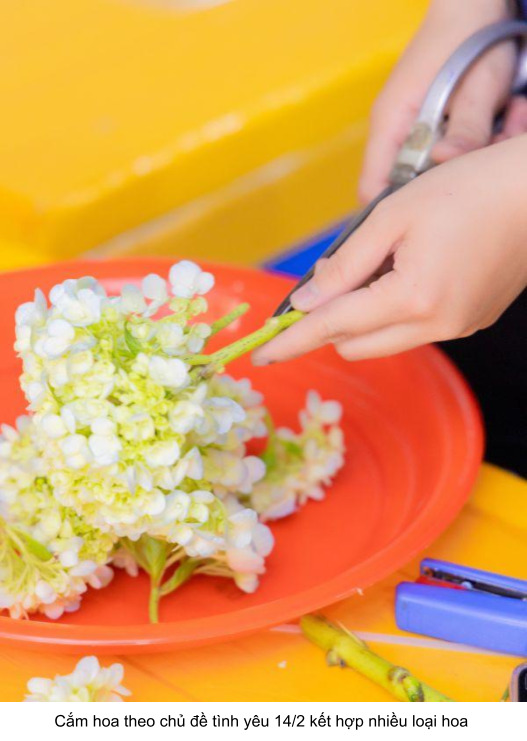 kết hợp với nhiều loại hoa cắm khác nhau