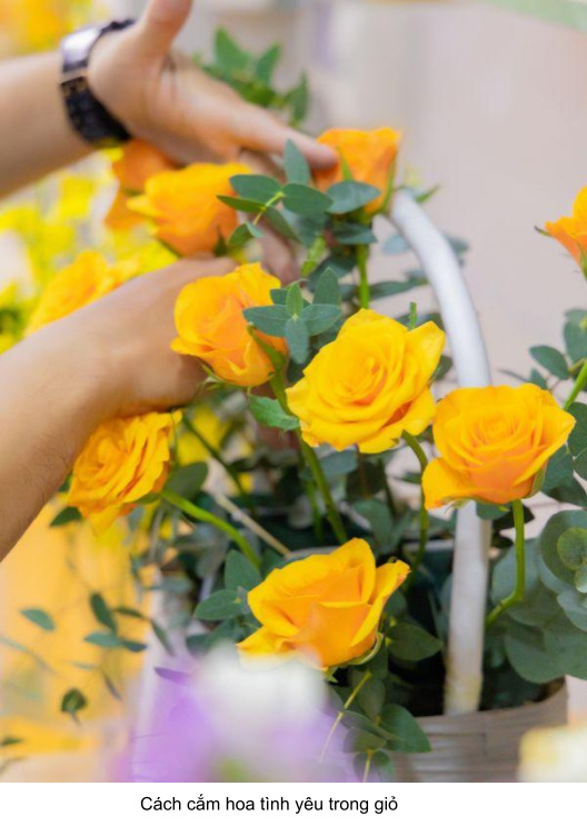 hướng dẫn cách cắm hoa