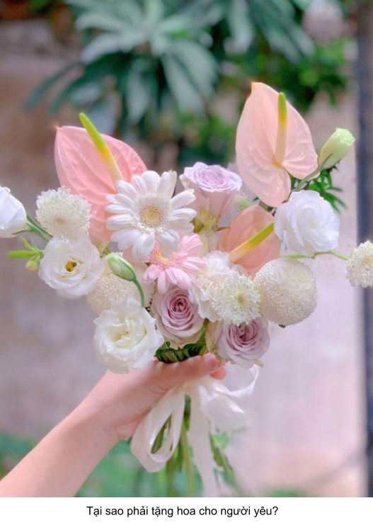 hoa tặng tình yêu 