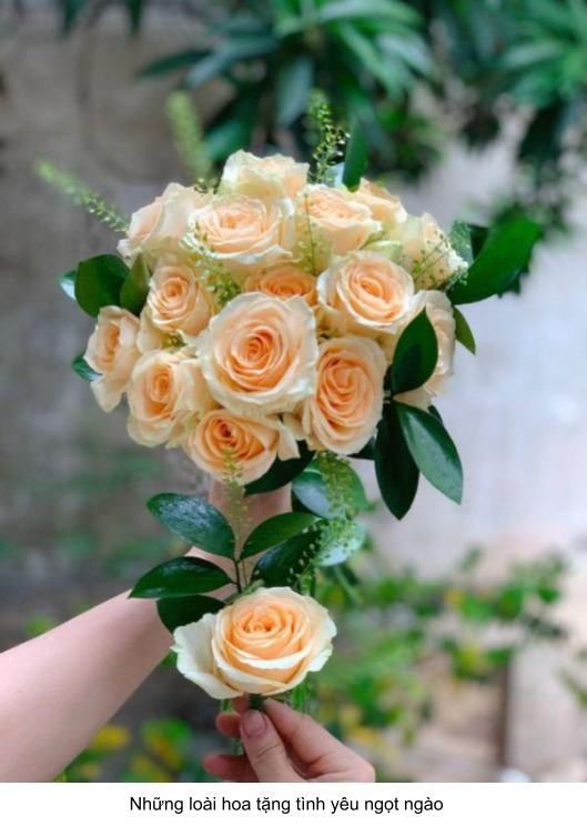 hoa tặng tình yêu hoa hồng