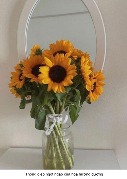 hoa tình yêu hướng dương ngọt ngào 