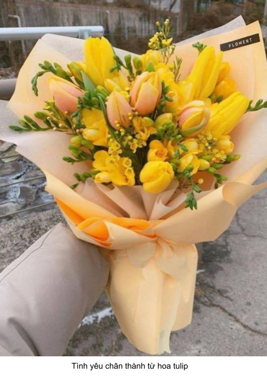 hoa tặng người yêu đẹp nhất 