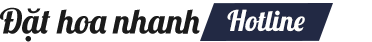 Giao Hoa Tận Nơi 247 | Cung cấp hoa tươi tận nơi toàn quốc