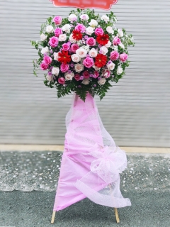 Kệ Hoa Khai Trương Tông Hồng