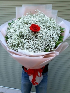 Bó Hoa Baby Chúc Mừng