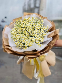 Bó Hoa Cúc Tana Tốt Nghiệp