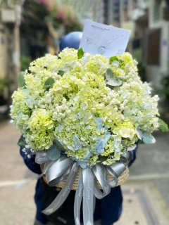 Giỏ Hoa Cẩm Tú Cầu Tặng Khai Trương