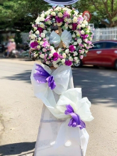 Kệ Tang Tông Tím