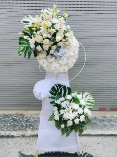 Đặt Kệ Hoa Tang Đẹp