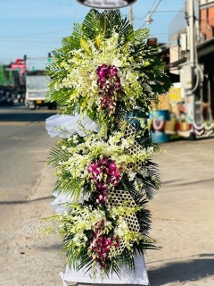 Kệ Hoa Tang Đẹp