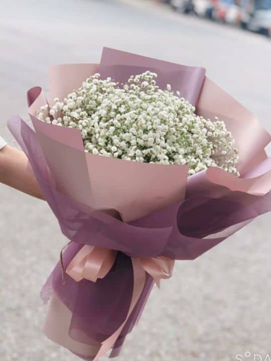 hoa tặng sinh nhật người yêu 